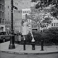 TopRq.com search results: The New York City Ballerina Project by Dane Shitagi