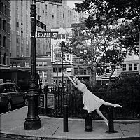 Art & Creativity: The New York City Ballerina Project by Dane Shitagi