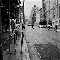 TopRq.com search results: The New York City Ballerina Project by Dane Shitagi