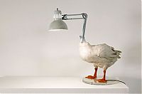 Art & Creativity: Product ideas by Sebastian Errazuriz