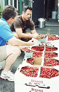 Art & Creativity: Cinemagraph of strawberry beer brewing by Jamie Beck & Kevin Burg