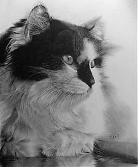 Art & Creativity: Pencil drawing by Paul Lung