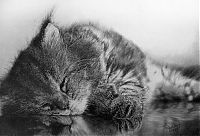 Art & Creativity: Pencil drawing by Paul Lung