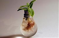 TopRq.com search results: plants art from old light bulbs