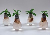 Art & Creativity: plants art from old light bulbs