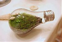 Art & Creativity: plants art from old light bulbs