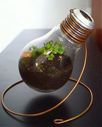 Art & Creativity: plants art from old light bulbs