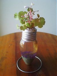 TopRq.com search results: plants art from old light bulbs