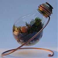 TopRq.com search results: plants art from old light bulbs