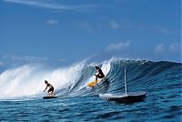 TopRq.com search results: Surfing photography by LeRoy Grannis