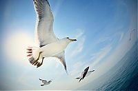 TopRq.com search results: ultra wide angle photography