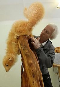 TopRq.com search results: xyloglyphy, wood carving