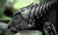 TopRq.com search results: robotic animal, digital image manipulation