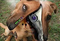 TopRq.com search results: robotic animal, digital image manipulation