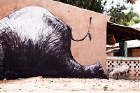 Art & Creativity: Street art graffiti in Africa