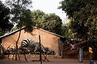 Art & Creativity: Street art graffiti in Africa