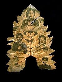 TopRq.com search results: Photographs on leaves by Binh Danh
