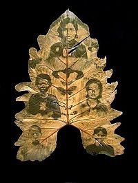 Art & Creativity: Photographs on leaves by Binh Danh