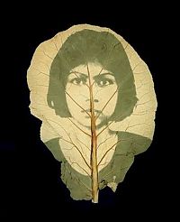 Art & Creativity: Photographs on leaves by Binh Danh