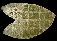 TopRq.com search results: Photographs on leaves by Binh Danh