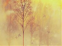Art & Creativity: autumn illustration