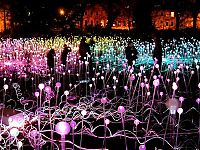 TopRq.com search results: Field of Light by Bruce Munro, Holburne Museum in Bath, England, United Kingdom