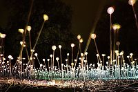 Art & Creativity: Field of Light by Bruce Munro, Holburne Museum in Bath, England, United Kingdom