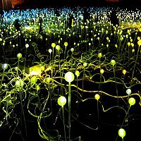 Art & Creativity: Field of Light by Bruce Munro, Holburne Museum in Bath, England, United Kingdom