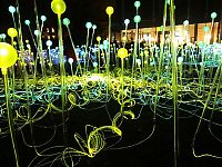 Art & Creativity: Field of Light by Bruce Munro, Holburne Museum in Bath, England, United Kingdom