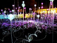 TopRq.com search results: Field of Light by Bruce Munro, Holburne Museum in Bath, England, United Kingdom