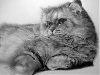 Art & Creativity: pencil drawing