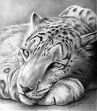 Art & Creativity: pencil drawing