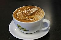 TopRq.com search results: latte art