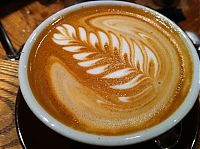 TopRq.com search results: latte art