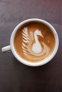 Art & Creativity: latte art