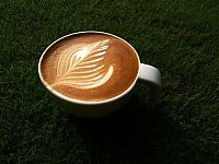 TopRq.com search results: latte art