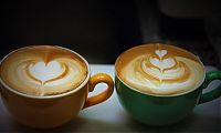 TopRq.com search results: latte art