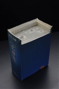 TopRq.com search results: Book carvings projects by Guy Laramée