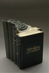 TopRq.com search results: Book carvings projects by Guy Laramée