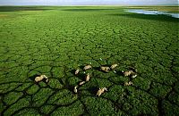 Art & Creativity: Aerial Photography of Africa by George Steinmetz