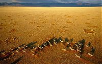 Art & Creativity: Aerial Photography of Africa by George Steinmetz