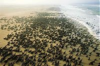 TopRq.com search results: Aerial Photography of Africa by George Steinmetz