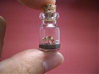 Art & Creativity: A Tiny World in a Bottle project by Akinobu Izumi