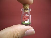 TopRq.com search results: A Tiny World in a Bottle project by Akinobu Izumi