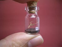 Art & Creativity: A Tiny World in a Bottle project by Akinobu Izumi