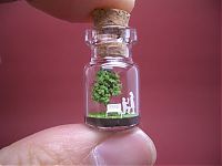 TopRq.com search results: A Tiny World in a Bottle project by Akinobu Izumi