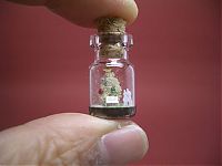 Art & Creativity: A Tiny World in a Bottle project by Akinobu Izumi