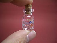 Art & Creativity: A Tiny World in a Bottle project by Akinobu Izumi