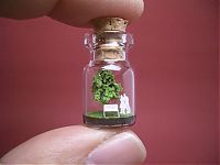 TopRq.com search results: A Tiny World in a Bottle project by Akinobu Izumi