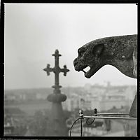 Art & Creativity: Notre-Dame de Reims by Gérard Rondeau.